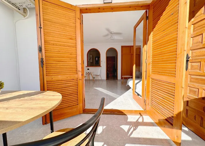 公寓 Gases 24 托雷维耶哈